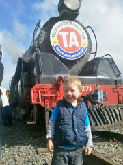 
Daffodil Express with Ja 1271, Carterton, September 2012